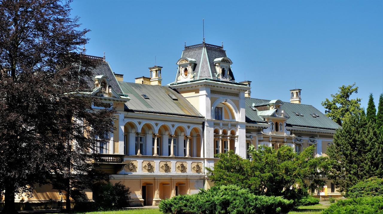 Hotel Zamek Světlá nad Sázavou Extérieur photo