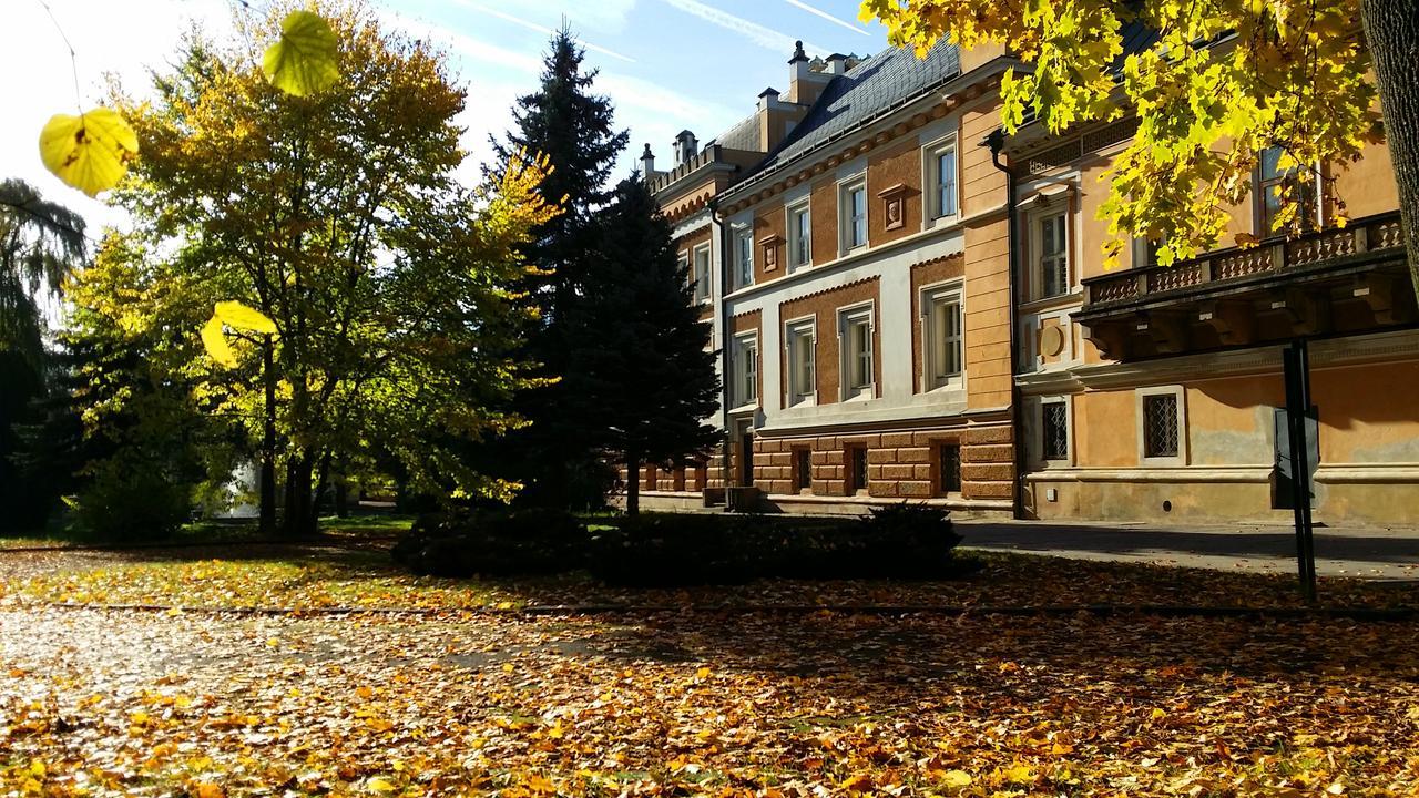 Hotel Zamek Světlá nad Sázavou Extérieur photo
